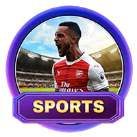 bingoplus sports